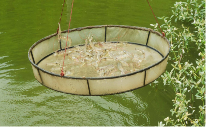 湖南全力邦生物科技有限公司,湖南養殖技術服務,湖南水產養殖投入品，湖南全力邦