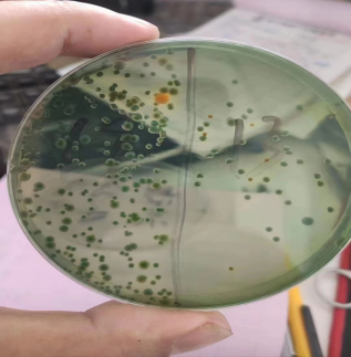 湖南全力邦生物科技有限公司,湖南養殖技術服務,湖南水產養殖投入品，湖南全力邦