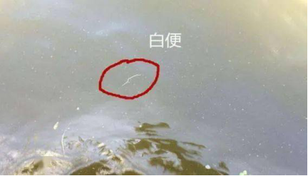 湖南全力邦生物科技有限公司,湖南養殖技術服務,湖南水產養殖投入品，湖南全力邦