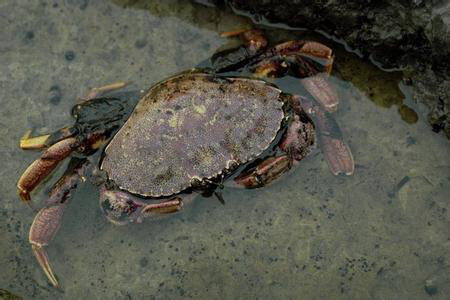 湖南全力邦生物科技有限公司,湖南養(yǎng)殖技術服務,湖南水產(chǎn)養(yǎng)殖投入品，湖南全力邦