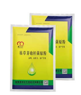 知識消息