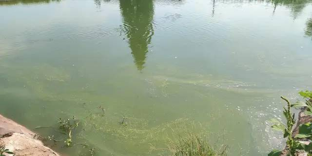 湖南全力邦生物科技有限公司,湖南養殖技術服務,湖南水產養殖投入品，湖南全力邦