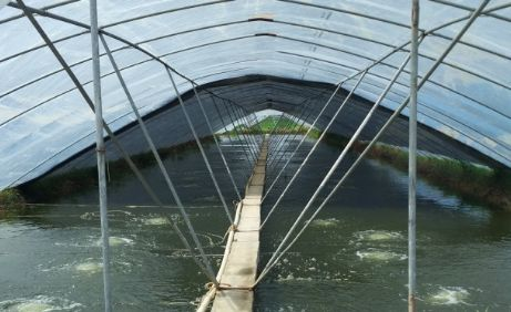 湖南全力邦生物科技有限公司,湖南養殖技術服務,湖南水產養殖投入品，湖南全力邦